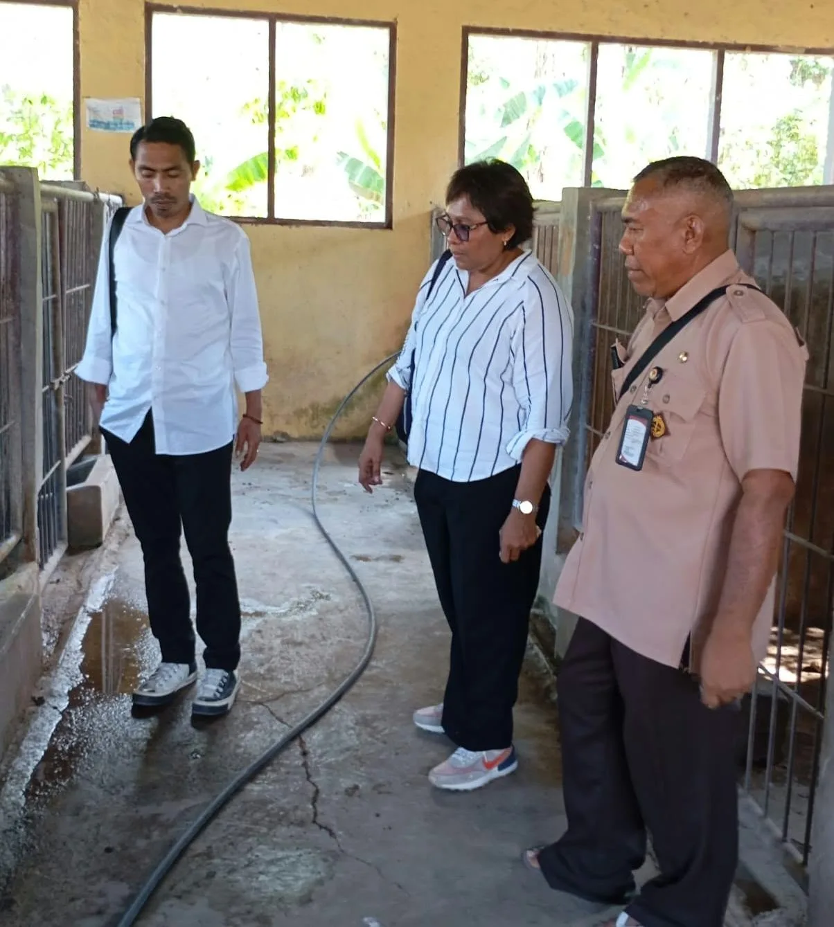 BPAD NTT Identifikasi Pemetaan Potensi PAD dan Kendala Aset di Nagekeo dan Ende